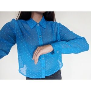 Sheer Blue Cropped Blouse